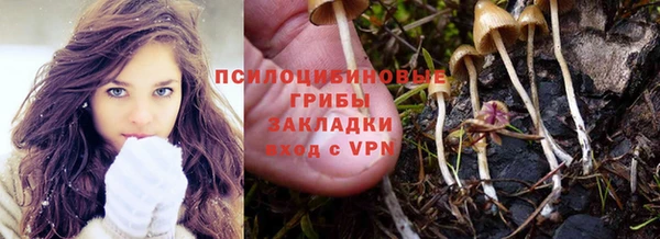 тгк Армянск