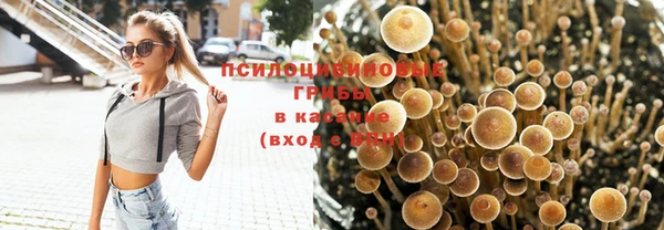 соль ск Аркадак