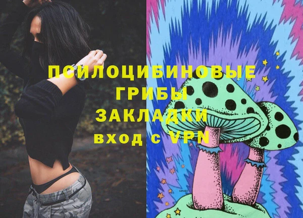 соль ск Аркадак